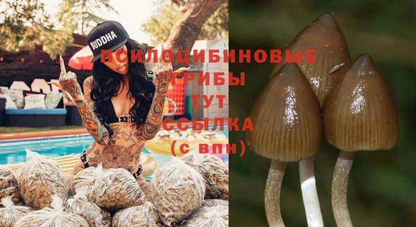дурь Белокуриха